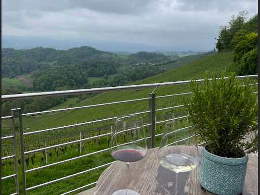 Sรผdsteiermark Wine Adventure: A Journey of Sip and Savor