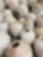 woodturning hollow forms