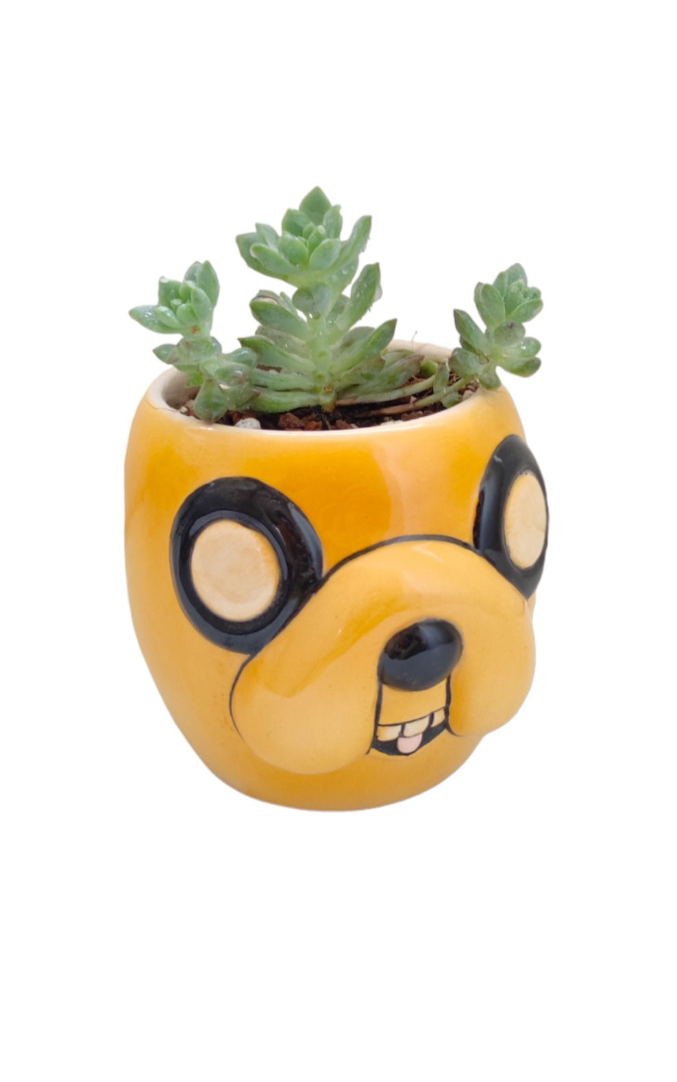 Jake de Hora de Aventura