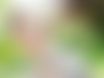 Junge Frau im Park. Farbbild. Querformat.