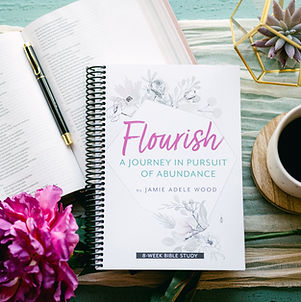 Flourish Workbook Image (Storev2).JPG