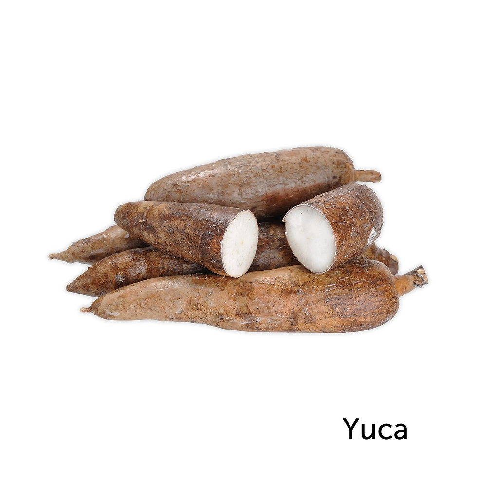 Yuca