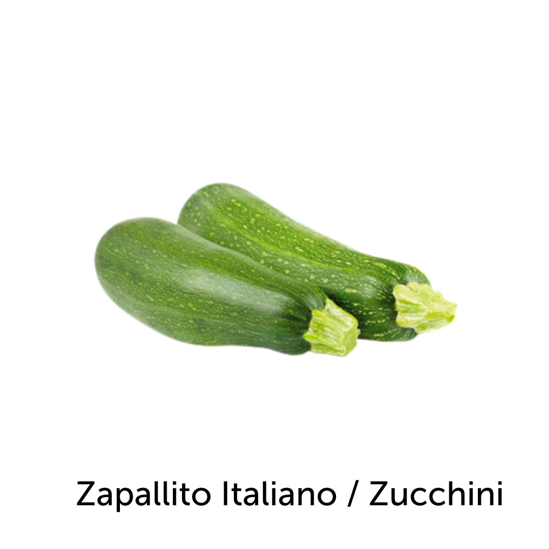 Zapallito Italiano / Zuchini