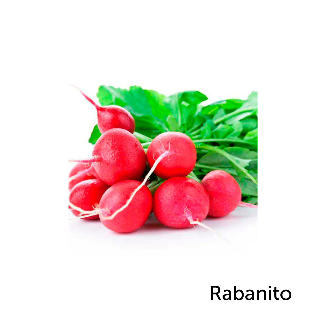 Rabanito