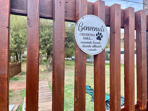 WhatsApp Image 2025-10-17 at 19.11.05 (4).jpeg