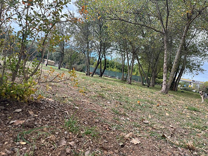 WhatsApp Image 2025-10-17 at 19.11.05 (17).jpeg