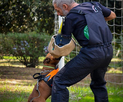 WhatsApp Image 2025-12-01 at 13.53.30.jpeg