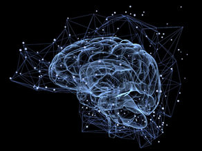 Memory: The Feeble Human Mind.