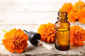 Thumbnail:  Marigold Tagetes Essential Oil