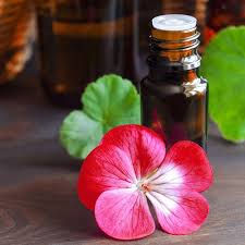 Miniatyrbilde: Geranium floral with amber bottle