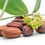 Miniatyrbilde: Dried Jojoba