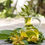 Thumbnail: Ylang Ylang Essential Oil