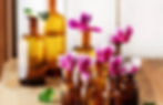 Miniatyrbilde: Cyclamen Persicum