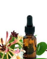 Miniatyrbilde: Honeysuckle Essential Oil