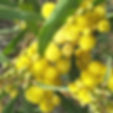 ree