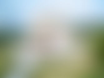 l’arteterapia nel supporto al tumore al seno