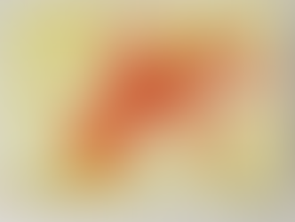 Retrospettiva di Jol Bassi