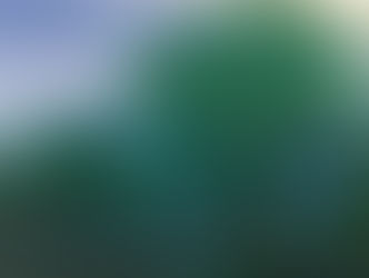 Viaggiamo nell’inconscio: il significato del bosco nelle fiabe