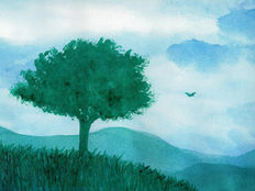 FORZE PLANETARIE NELL’UOMO: IL MOVIMENTO EQUILIBRATORE DI MERCURIO SECONDO IL METODO STELLA MARIS