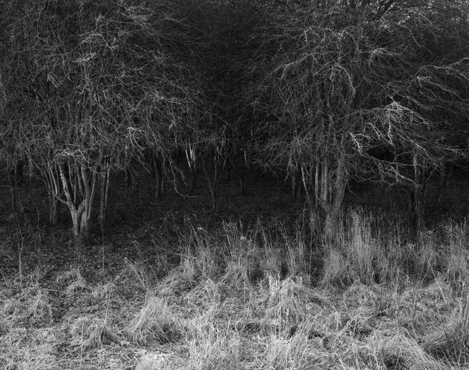 Terry Hulf, Lossenham