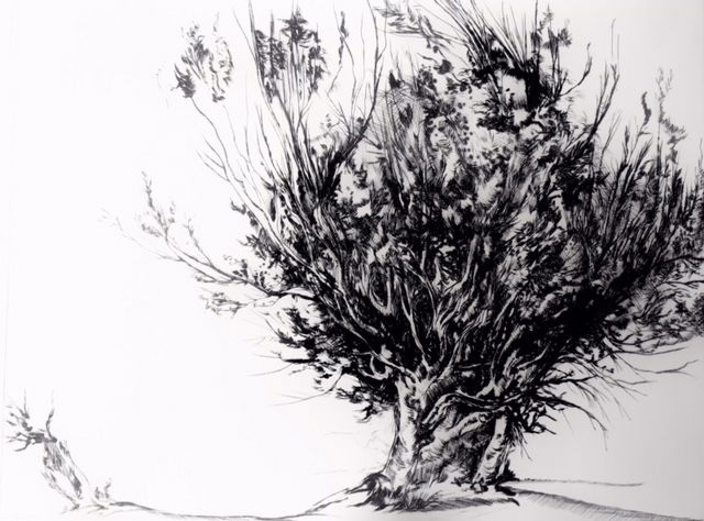 Chanctonbury, Sussex, drypoint etching from observation, 8/10, from edition of 10 only, signed in pencil, Edward Twohig
