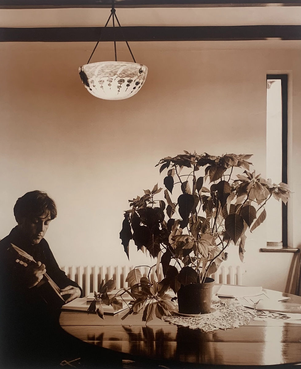 Linda McCartney At the Royal Photographic Society, Paul and Poinsettia, poster