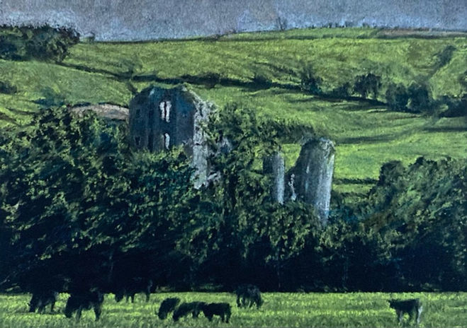 Dominic Zwemmer, Welsh Black cattle at Clun, soft pastel on black core mount board