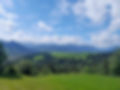 20240605_103706.jpg