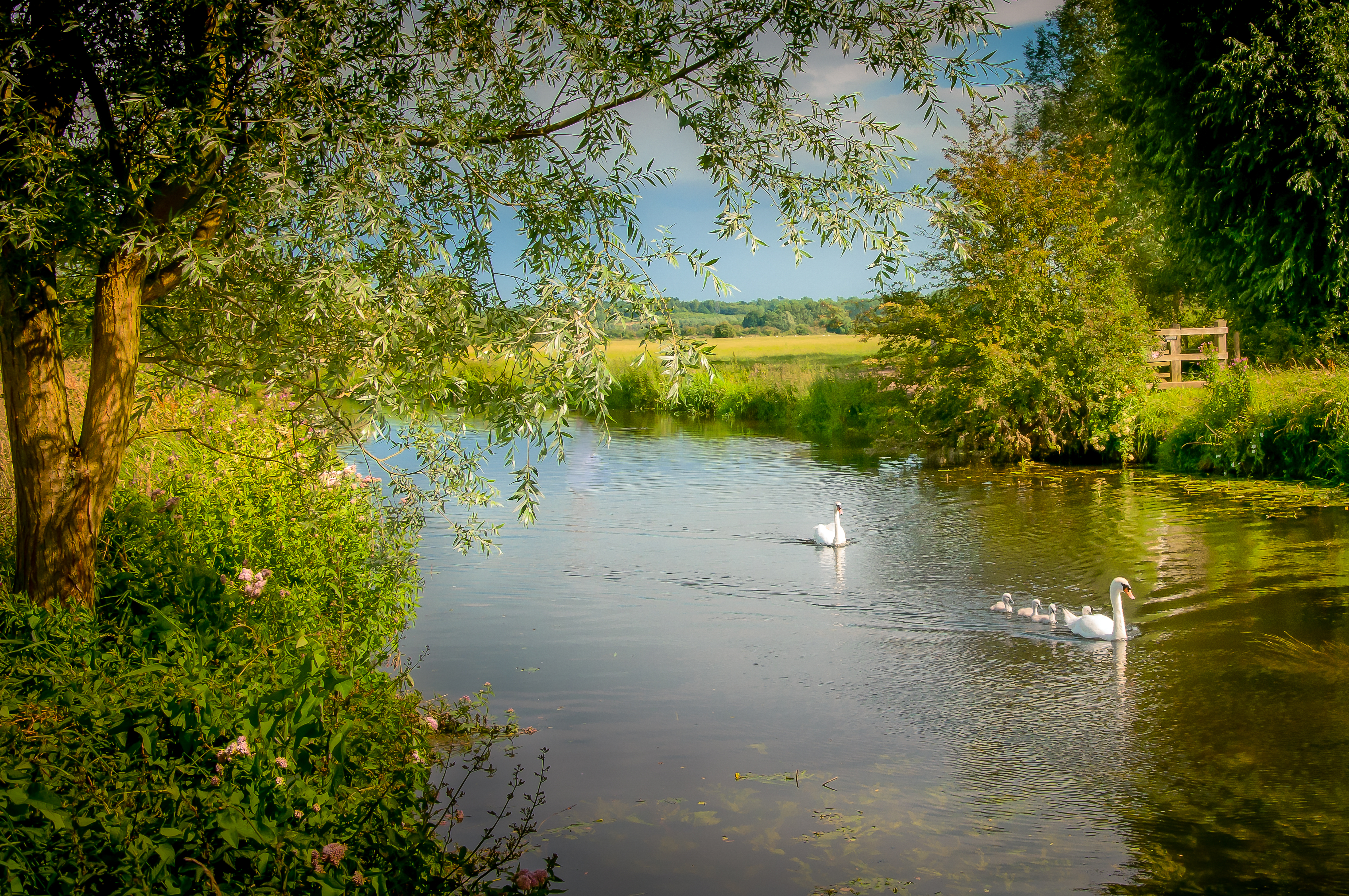 Constable Country