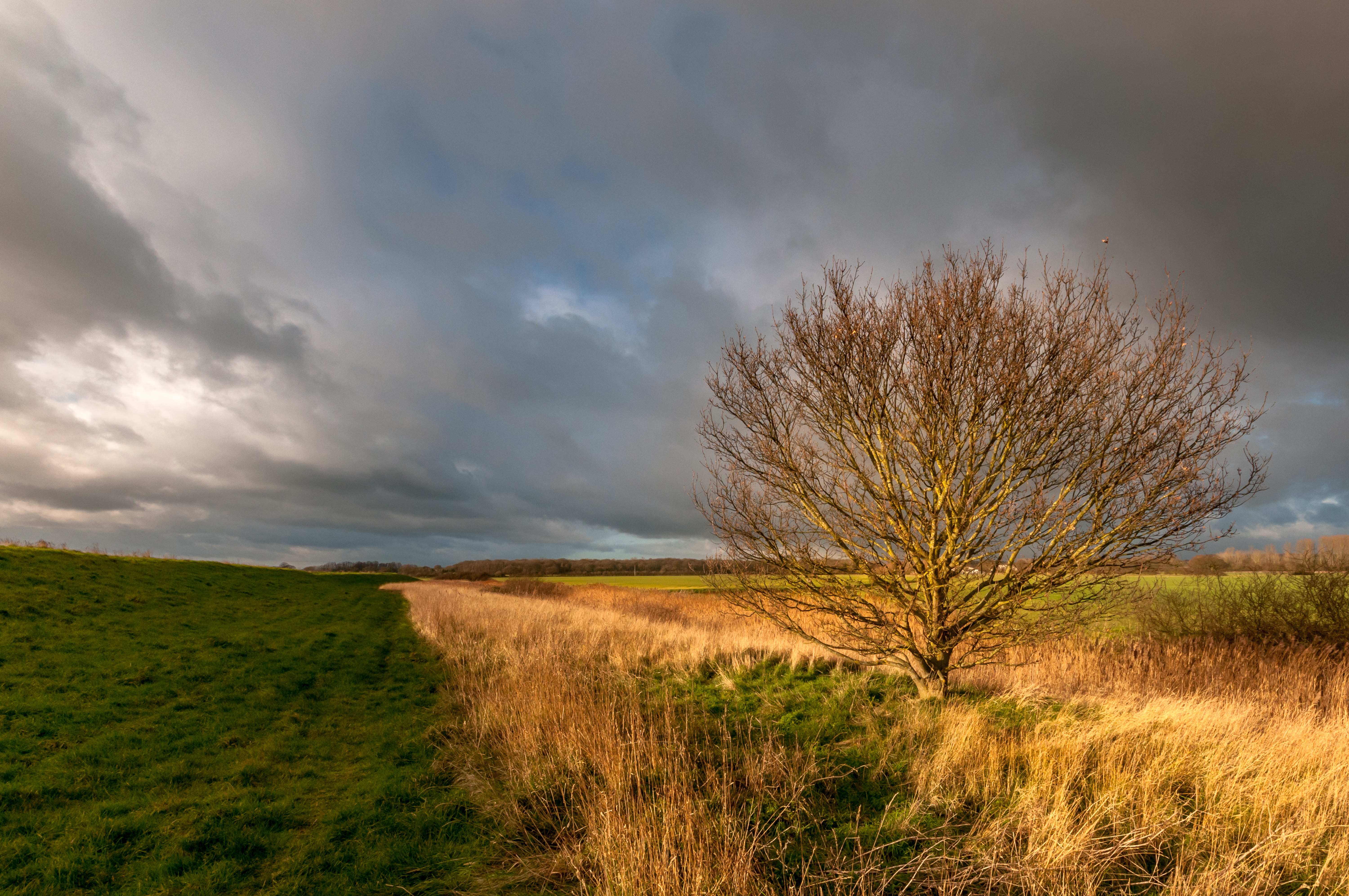 Storm Brewing