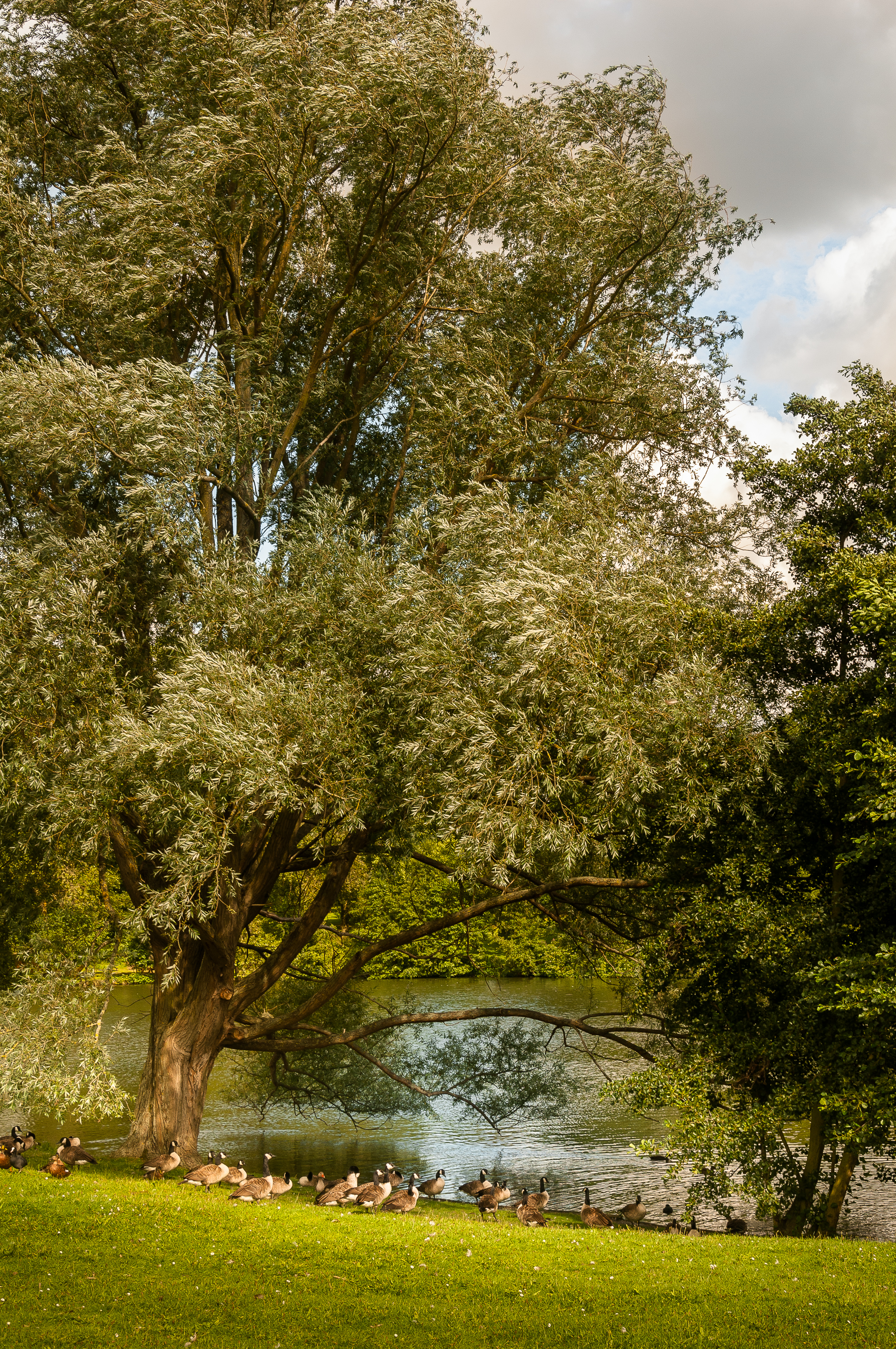 Constable Country