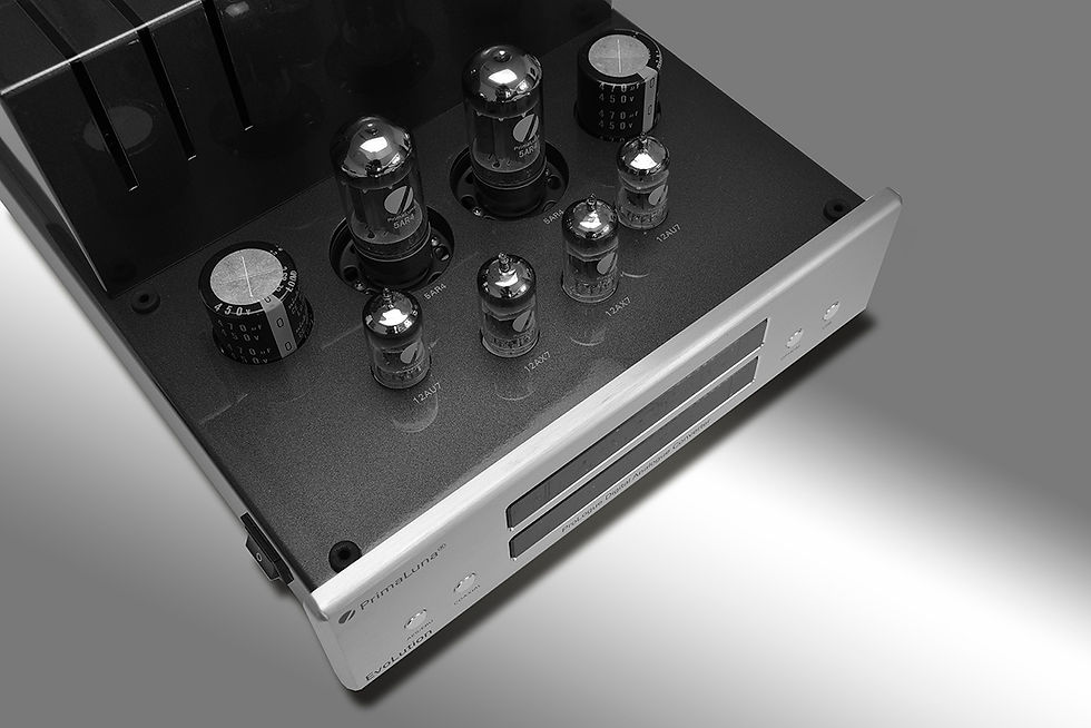 Miniaturbild: PrimaLuna EVO 100-9T digitalno-analogni pretvornik (DAC)