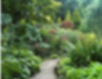 Fletcher Moss and Botanical Gardens, Didsbury 10am
