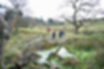 Lyme Park, 10am