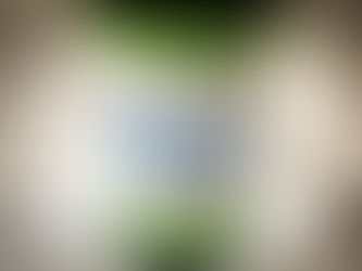 ケトジェニック中に美味しくカプリル酸を摂取するには(074)