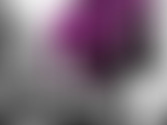 シンガポールの物価上昇(109)