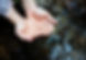 woman-getting-some-water-from-the-river-to-drink-2023-11-27-05-31-32-utc.jpg