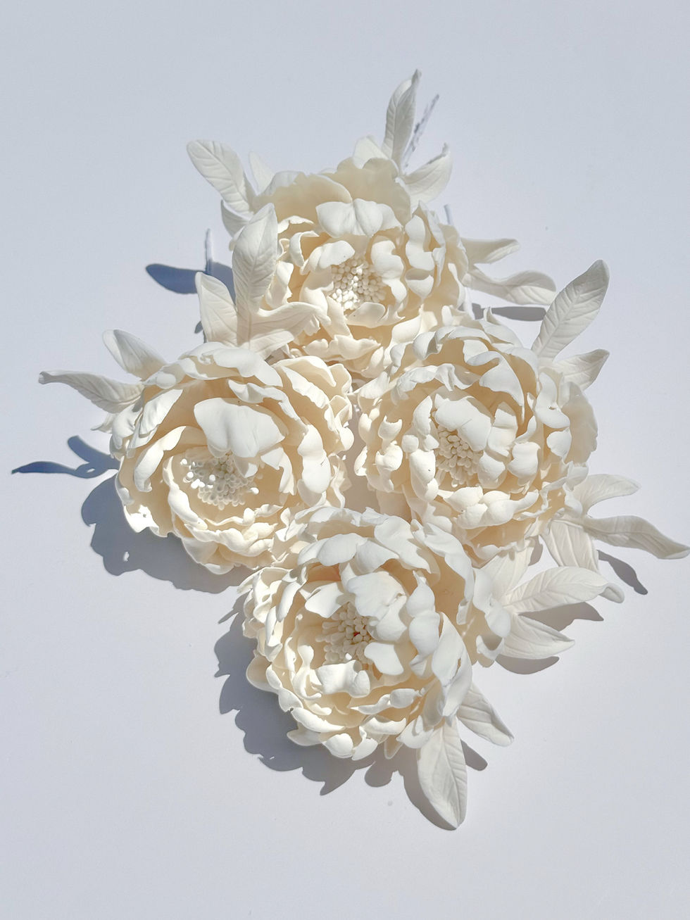 Thumbnail: Signature Peonies - Set Of 4