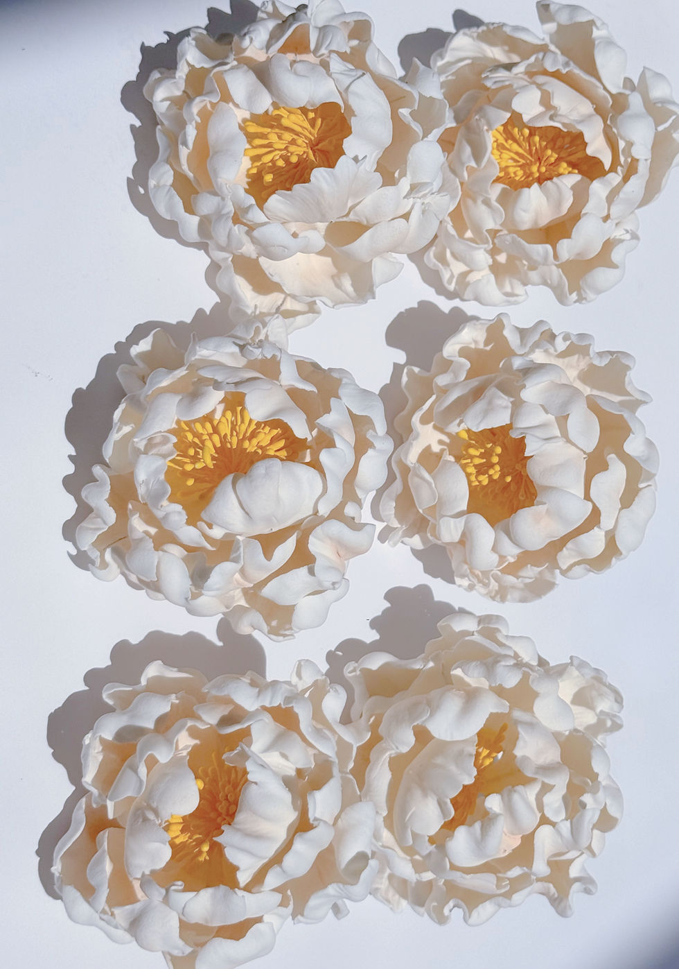 Thumbnail: Classic Peonies - Set Of 6