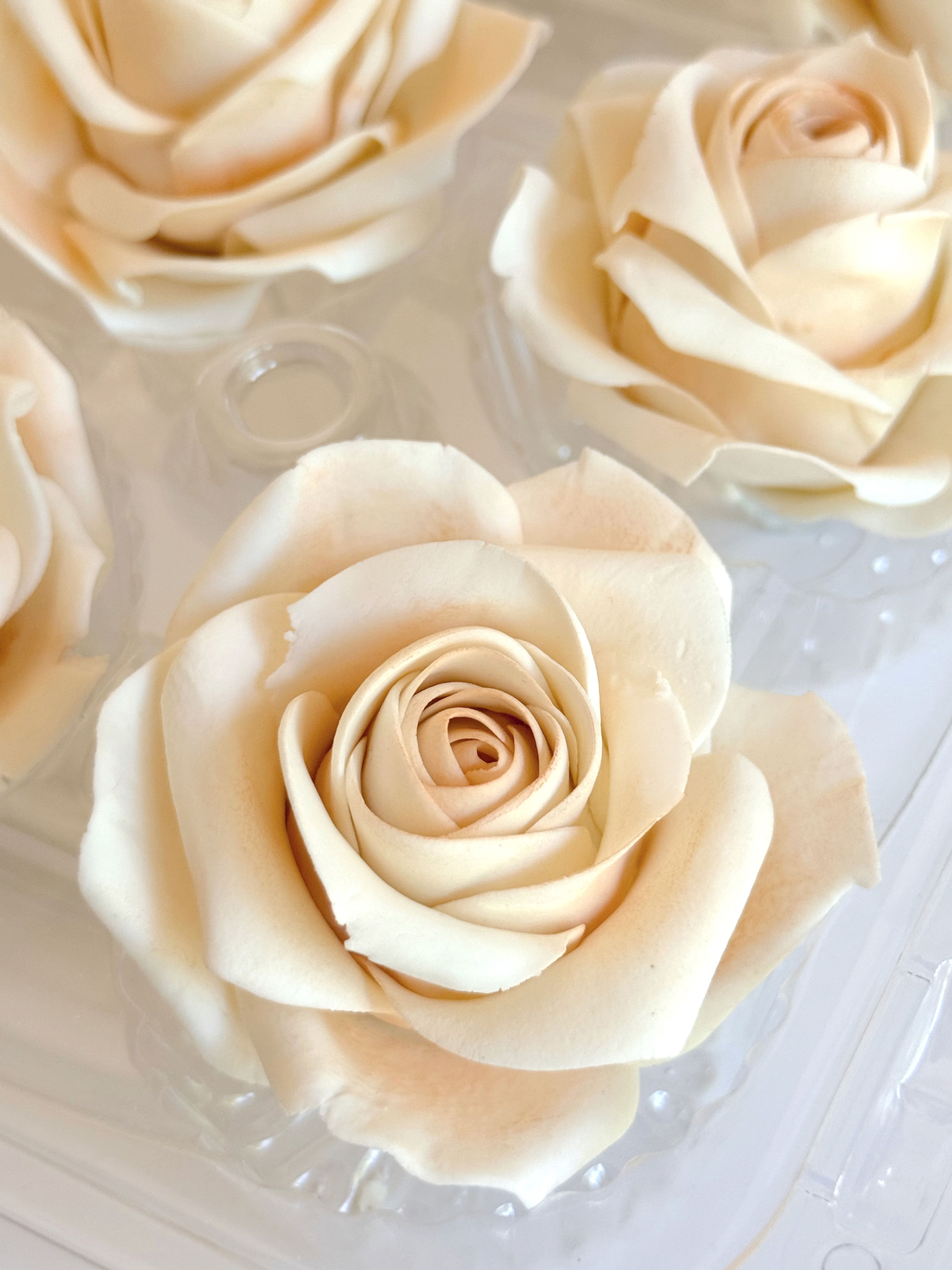 Petite Roses - Set Of 12