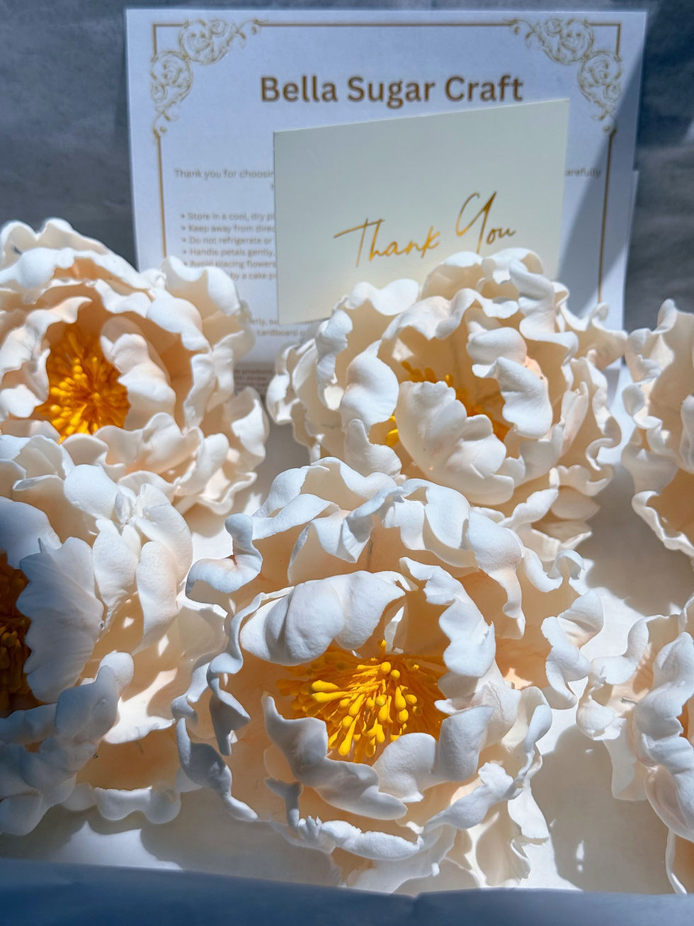 Thumbnail: Classic Peonies - Set Of 6
