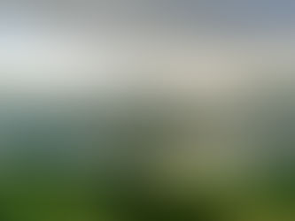 Azores: Living a paradise life through a blurry lens