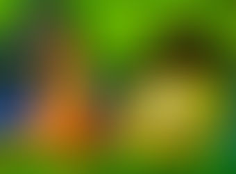 Bob Esponja: En busca de los pantalones cuadrados ya se encuentra en plataformas digitales