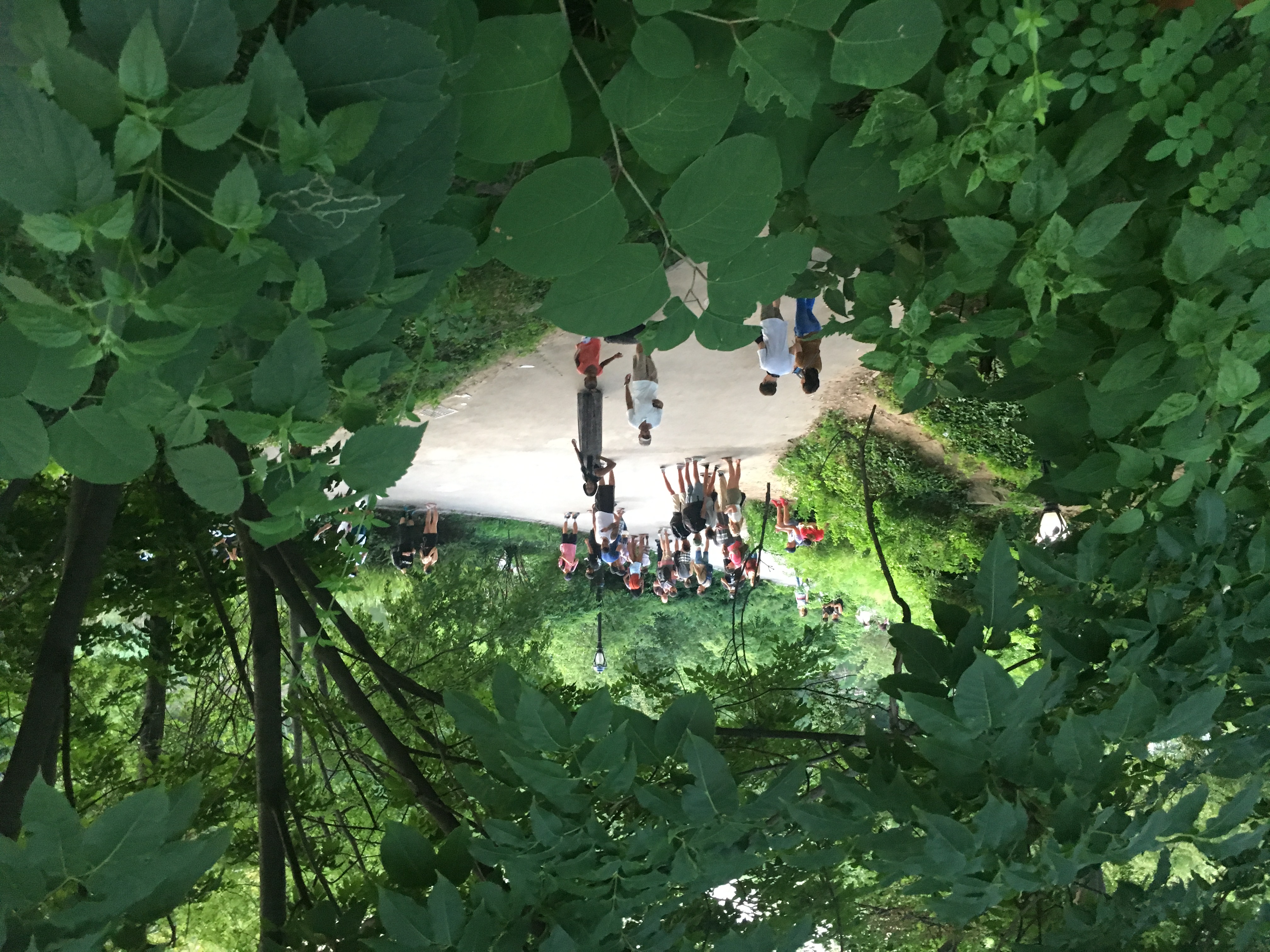 Pokémon Go players gather in New York City’s Central Park in July 2016.