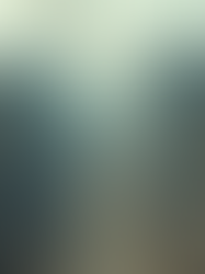 Devastating Bombing in Lebanon Leaves Areas Unrecognizable and Residents in Shock