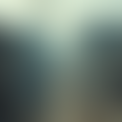 Devastating Bombing in Lebanon Leaves Areas Unrecognizable and Residents in Shock