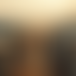 Understanding the Rohingya Genocide Case