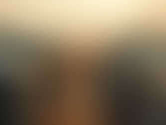 Understanding the Rohingya Genocide Case