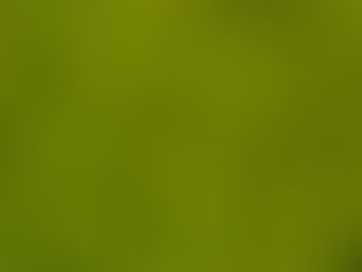 Algae: The Ocean’s Tiny Powerhouse