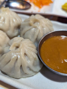Plate of steamed momo dumplings at an Indian restaurant in Tsukuba, Japan.
